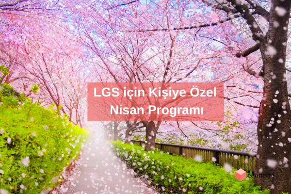 LGS için Kişiye Özel Nisan Programı