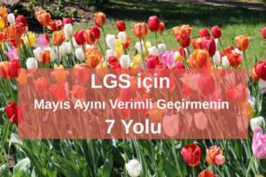 LGS için Mayıs Ayını Verimli Geçirmenin 7 Yolu