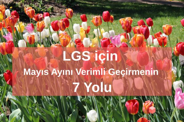 LGS için Mayıs Ayını Verimli Geçirmenin 7 Yolu