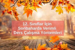 12. Sınıflar İçin Sonbaharda Verimli Ders Çalışma Yöntemleri