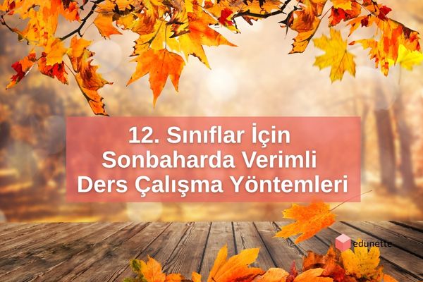 12. Sınıflar İçin Sonbaharda Verimli Ders Çalışma Yöntemleri