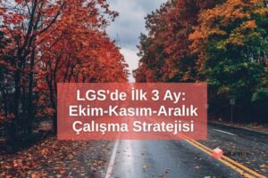 LGS'de İlk 3 Ay: Ekim-Kasım-Aralık Çalışma Stratejisi